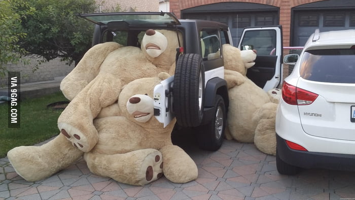 drunk teddy bears at costco