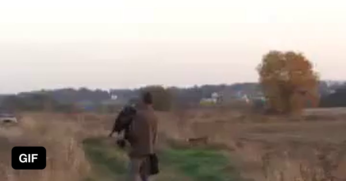 Eagle takes down deer 9GAG