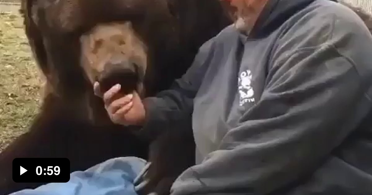 Just Chilling With His Bear - 9gag