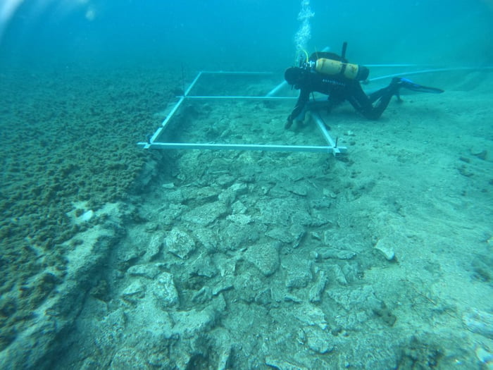 Archeologists Found A Year Old Road Under The Mediterranean Sea Gag