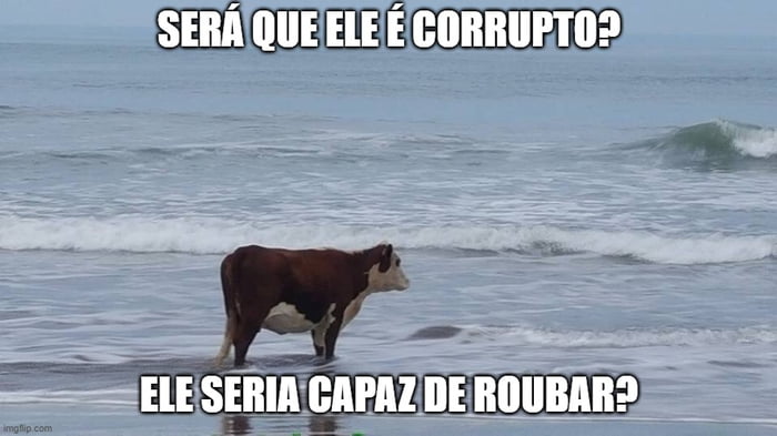 Ele Nunca Iria Roubar Gag