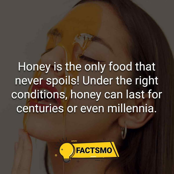 Interesting Fact Honey Is The Only Food That Never Spoils Under The