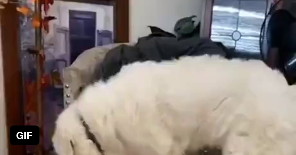 Gf sleeps. You drunk af try to get into bed quietly. 9GAG