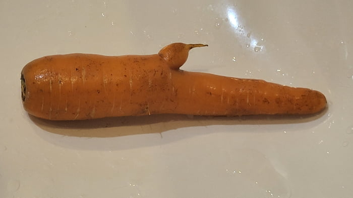 Carrots From A Local Sex Shop 9gag