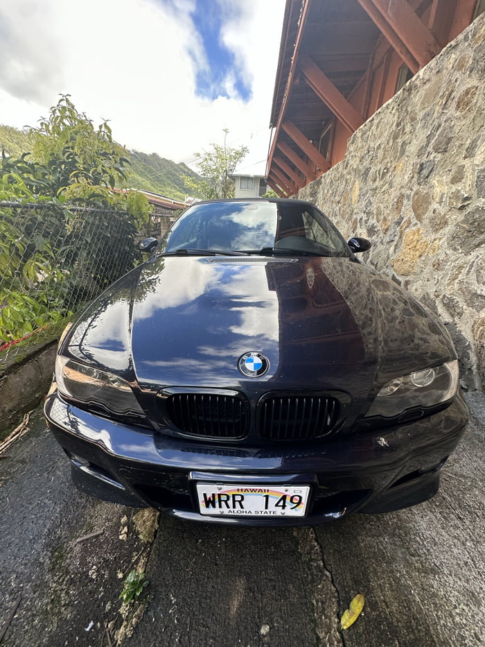 my-favorite-plates-on-my-favorite-car-i-shipped-it-via-boat-did-you