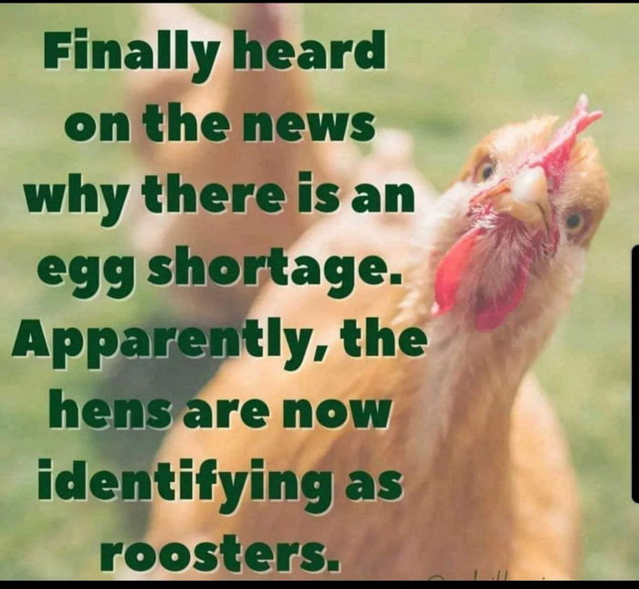 Egg shortage 9GAG