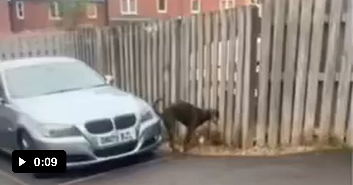 New left signal has been installed 9GAG