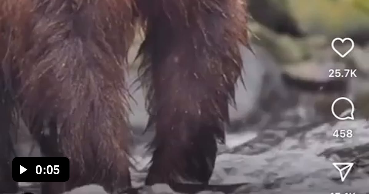 This is how pasta is made 9GAG