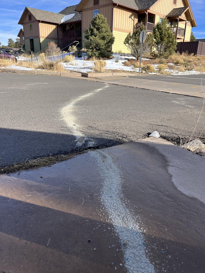 Cat litter trail to the dumpster 9GAG