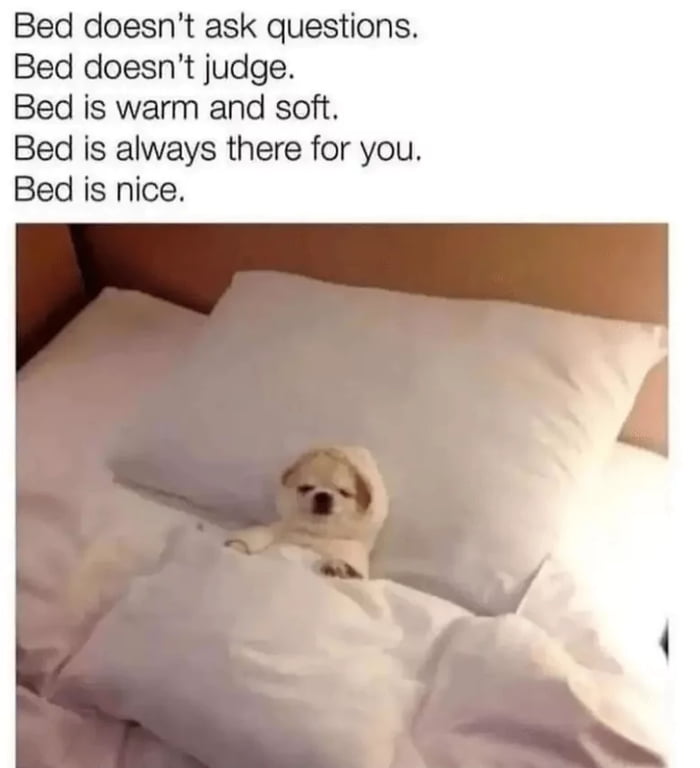 Bed touches me in inappropriate places in the night 9GAG