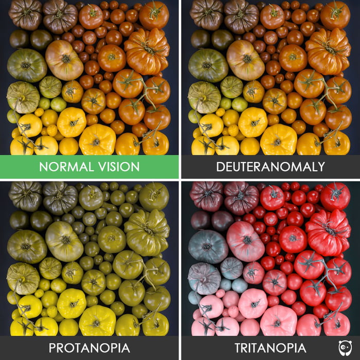 Different types of color-blindness - 9GAG