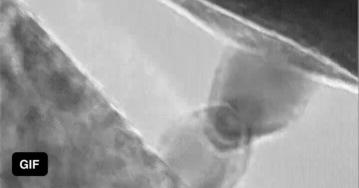 if-two-pieces-of-the-same-metal-touch-in-space-they-will-permanently