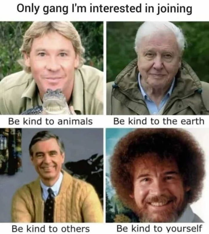 team-wholesome-9gag