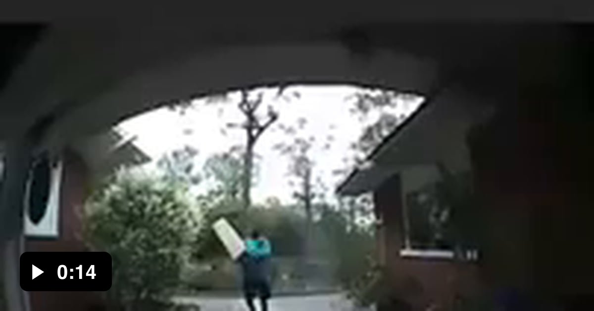 An Amazon delivery guy is scared by dog and breaks a few things - 9GAG