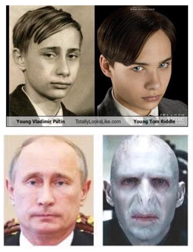 Putin Vs Voldemort Gag