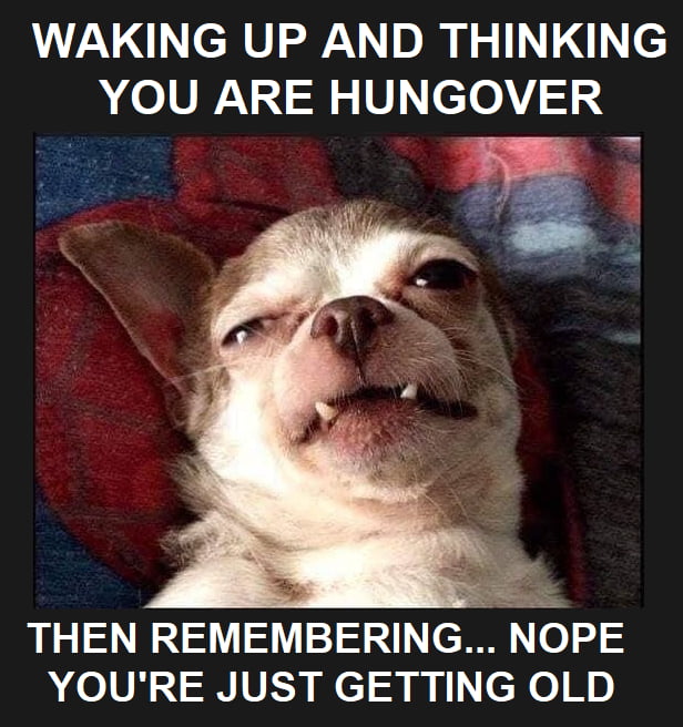 Each morning I die a little - 9GAG