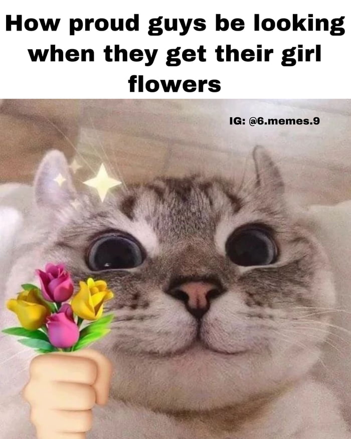 A picture of cat holding flowers - 9GAG