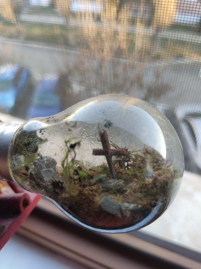 Terrarium in a light bulb 9GAG