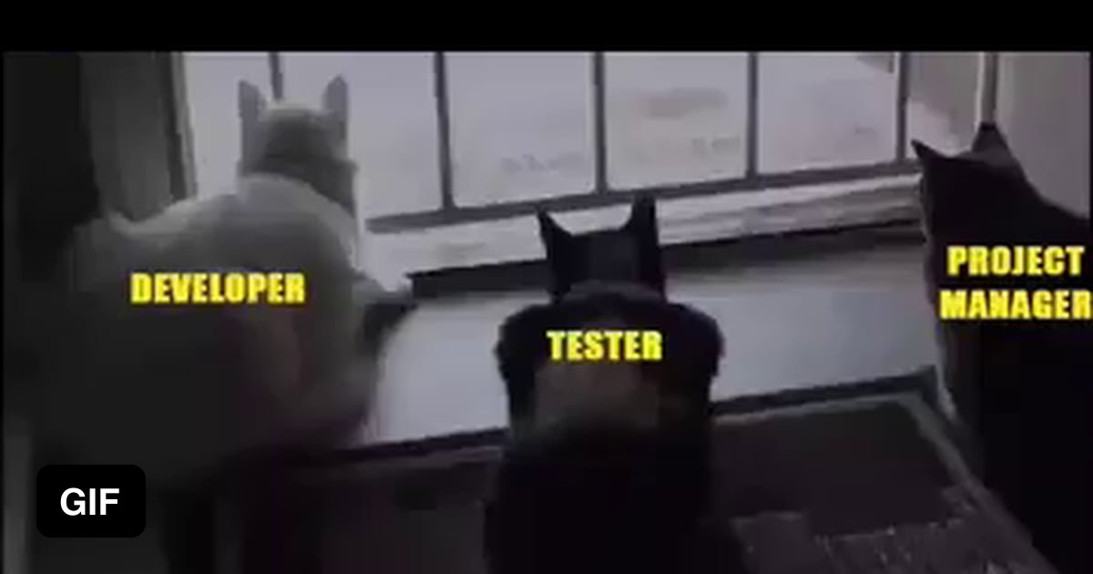 Programmer's Life - 9GAG