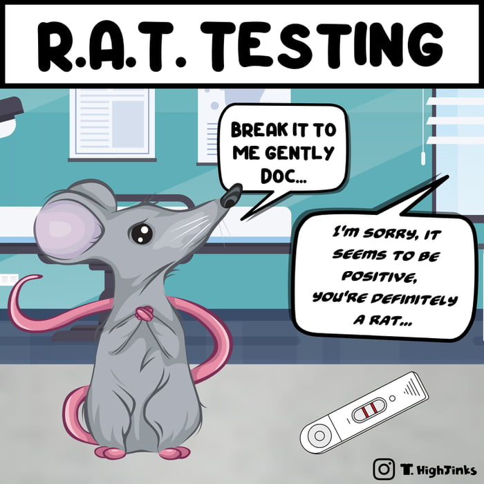 Keep hearing about these "RAT" tests, Can't they just tell by the ears and tail?... 9GAG