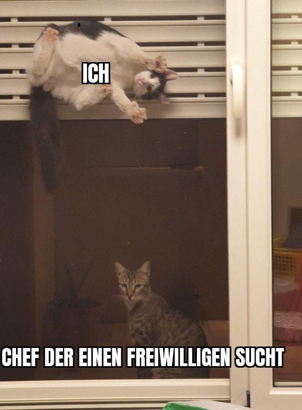 Eckstein Eckstein Alles Muss Versteckt Sein Bedeutung Eckstein, Eckstein, alles muss versteckt sein! - 9GAG