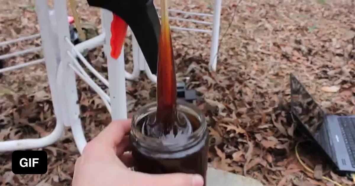 The Way This Honey Coils 9gag