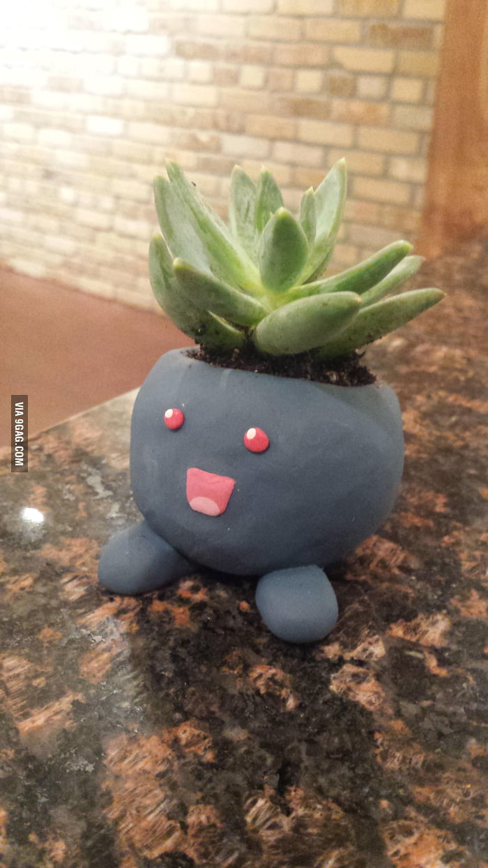  Oddish  clay succulent pot  9GAG