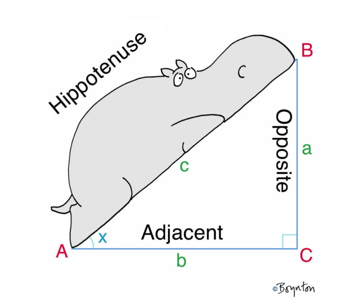 hippotenuse  9gag hippotenuse  9gag