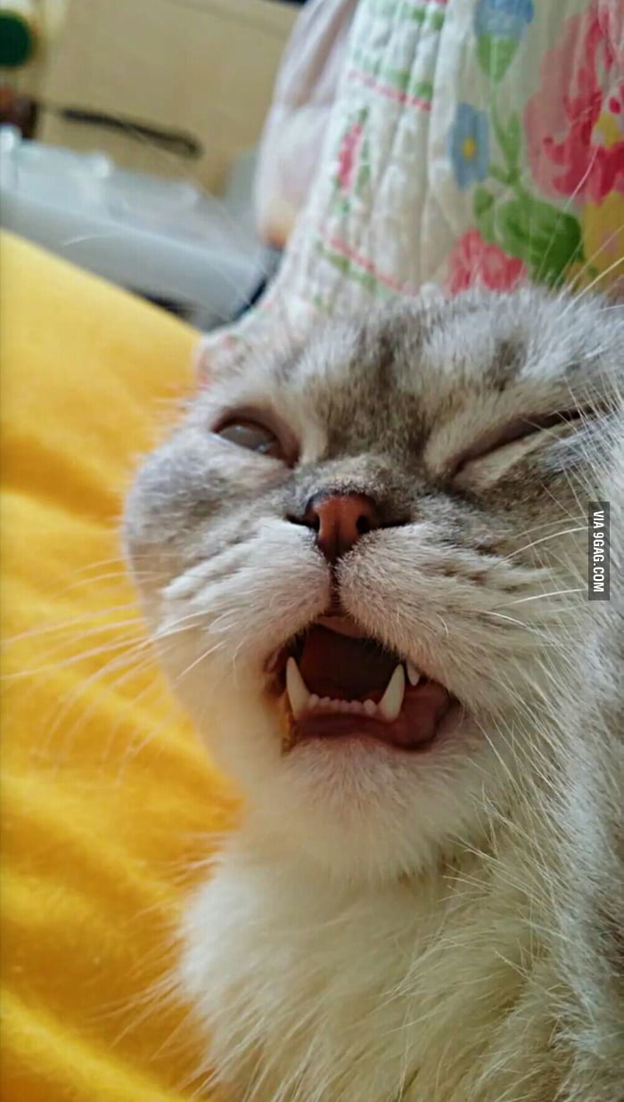 Funny Sleeping With Mouth Open