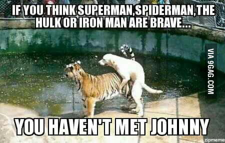 That's one hell of a dog! - 9GAG