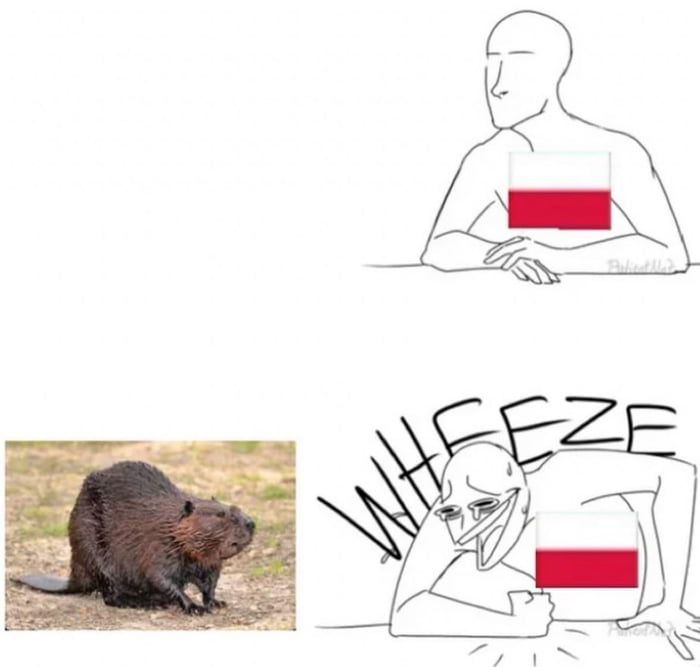 How to cheer up a polish person 9gag