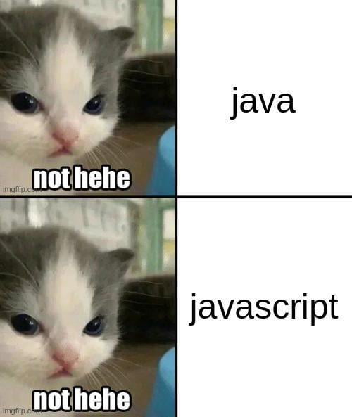 WhenYouDontLikeJavaOrJavascript - 9GAG