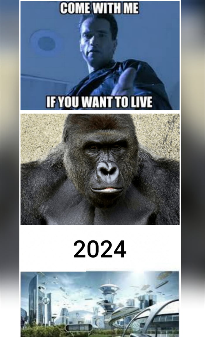 RIP Harambe - 9GAG