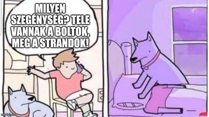 nem-baj-az-ha-buta-s-nemt-r-d-m-az-ember-csak-ne-k-rkedjen-vele-9gag