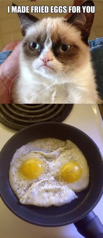 Grumpy eggs - 9GAG