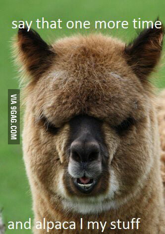 Angry alpaca >:( - 9GAG