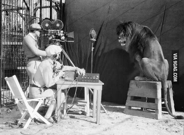 The recording of the MGM lion, 1929 - 9GAG