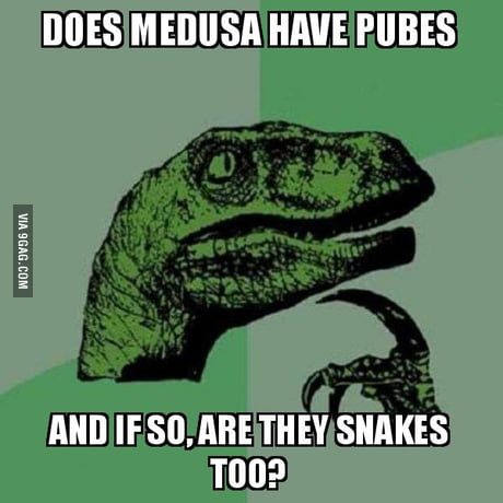 Philosoraptor Does The Carpet Match The Drapes 9gag
