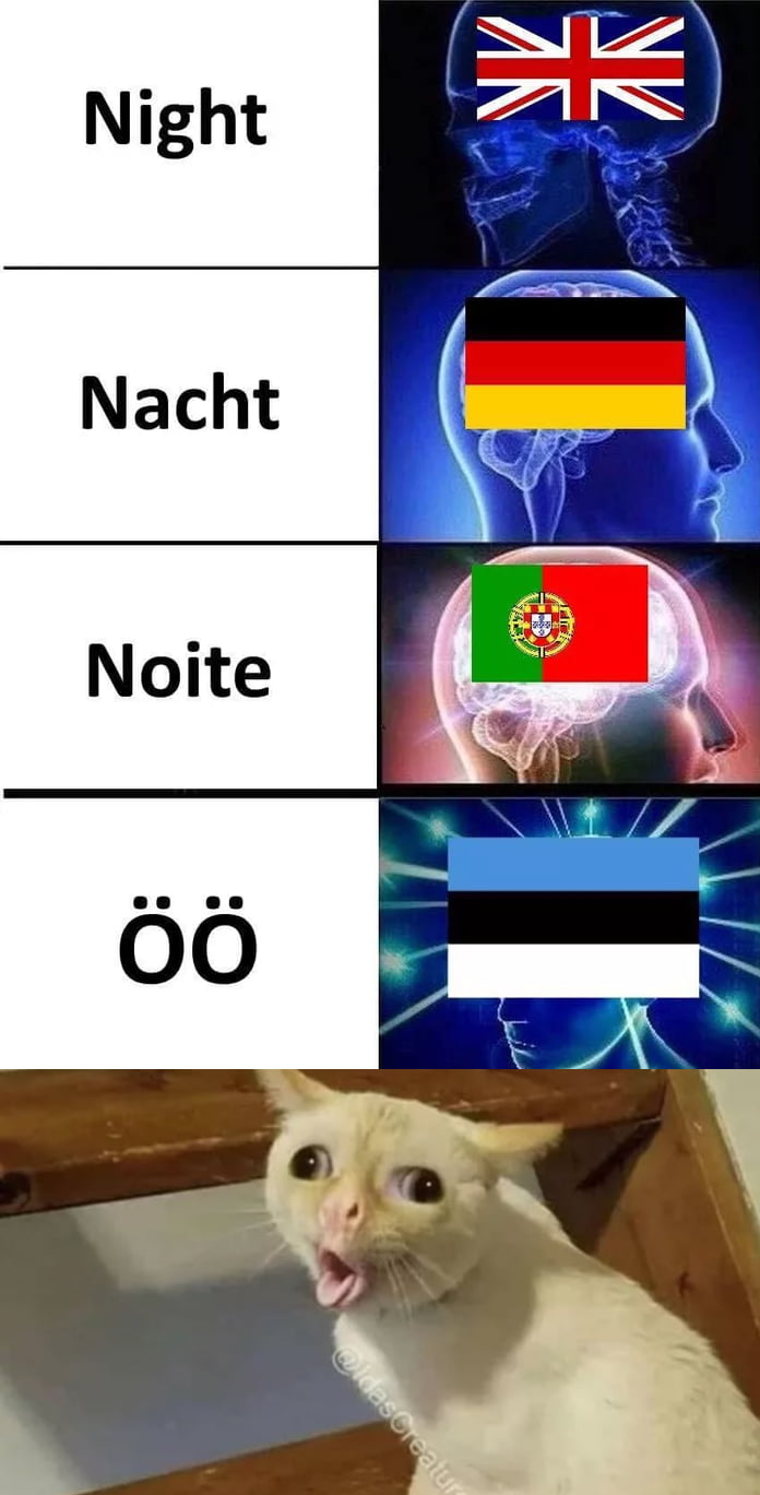 Кот на немецком