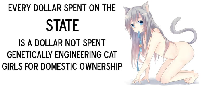 Genetically engineered catgirls for domestic ownership - 9GAG