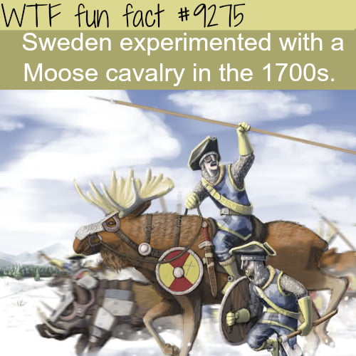 The russian Mansi allegedly used the moose cavalry - 9GAG