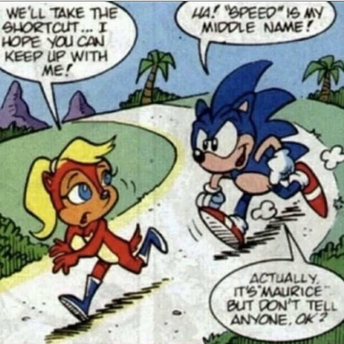 maurice the hedgehog