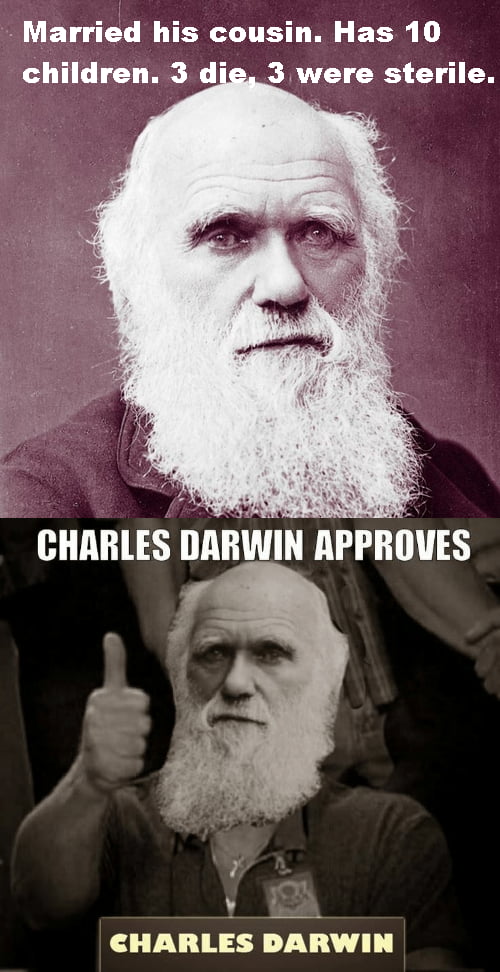 And The Darwin Award Goes To Darwin 9gag