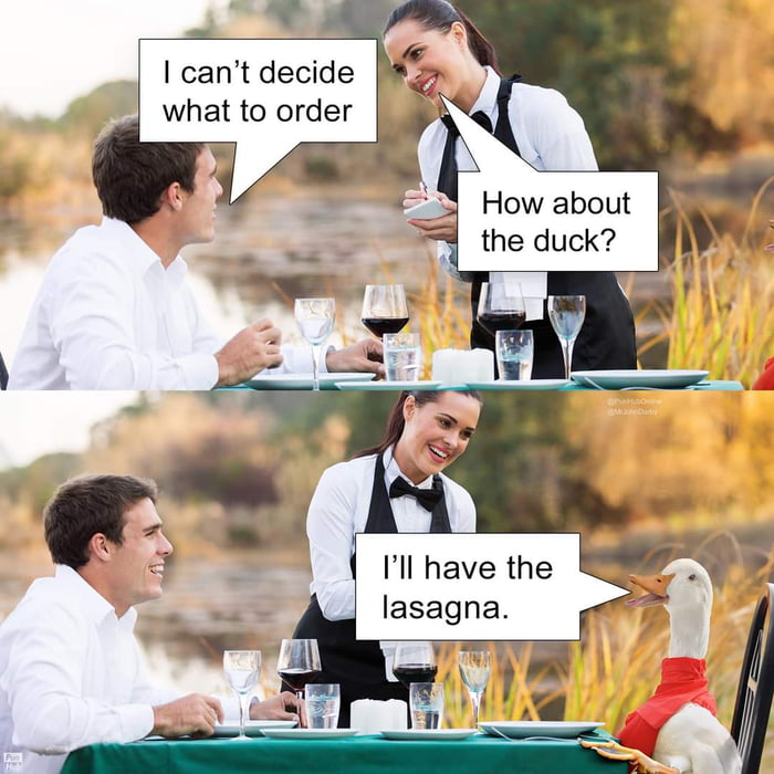 Duck - 9GAG