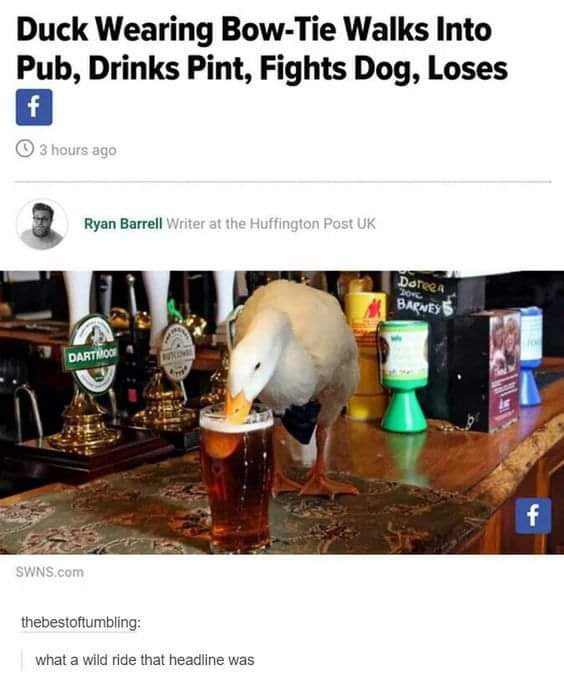 One heck of a headline - 9GAG