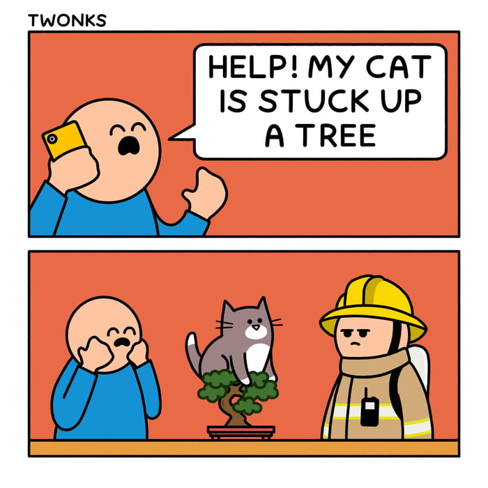 Cat stuck on a tree - 9GAG