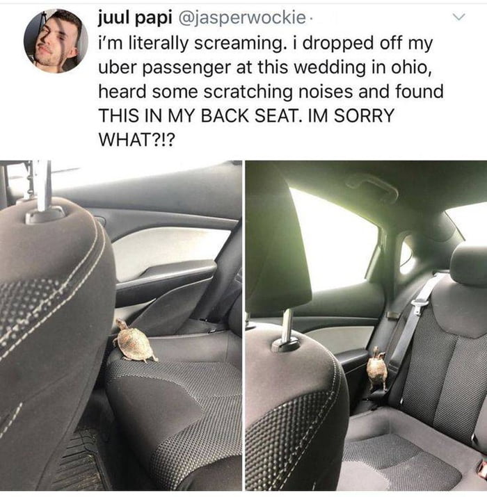 Just another day on the job, I guess? - 9GAG