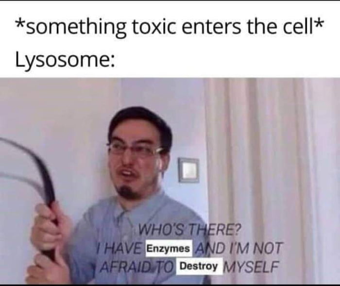 Kamikaze Organelles 9GAG