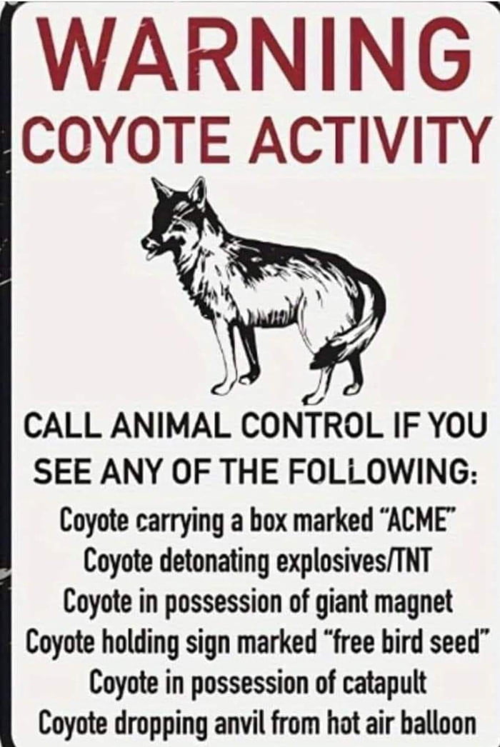 Coyote - 9GAG