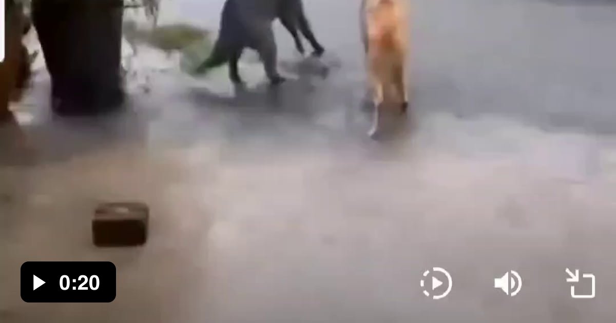 Epic fight - 9GAG